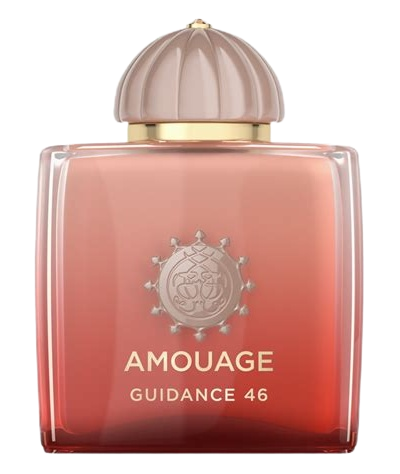 Guidance 46