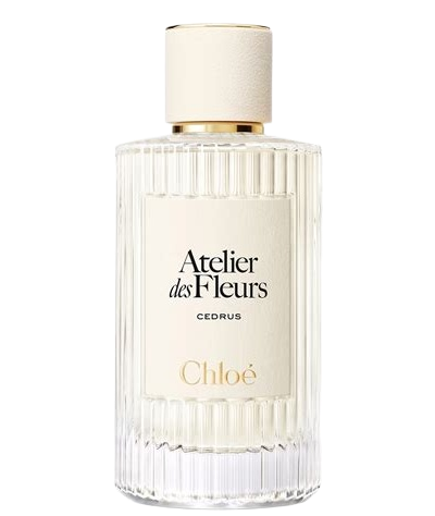 Atelier des Fleurs Cedrus